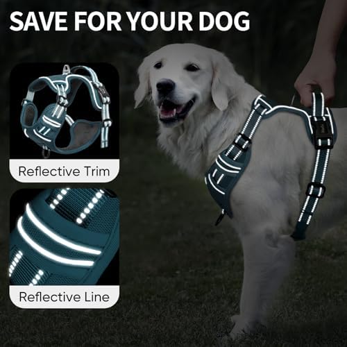 HEELE Dog Harness for Small Dogs No Pull Dog Vest Harness for Small Dog with Soft Padded Handle Reflective for Outdoor Training, Blackish Green, S