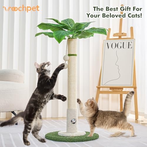 Woochpet Cat Scratching Post for Indoor Cats,36" Tall Cat Scratcher （White）