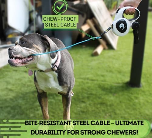 Snuggle Paws All-in-One Heavy Duty Retractable Dog Leash for Large Dogs
