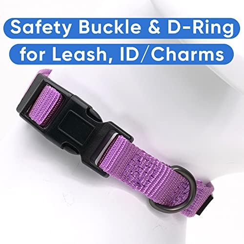 Pawtitas Solid Color Purple Orchid Puppy or Dog Collar, Small