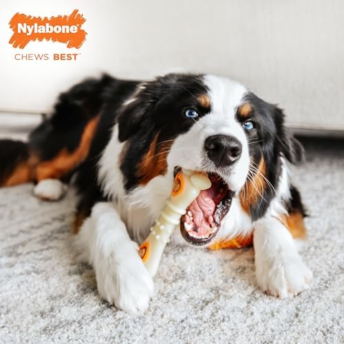 Nylabone Power Chew Knuckle Bone & Pop-in Dog Treat Toy & 30 Treat Refills