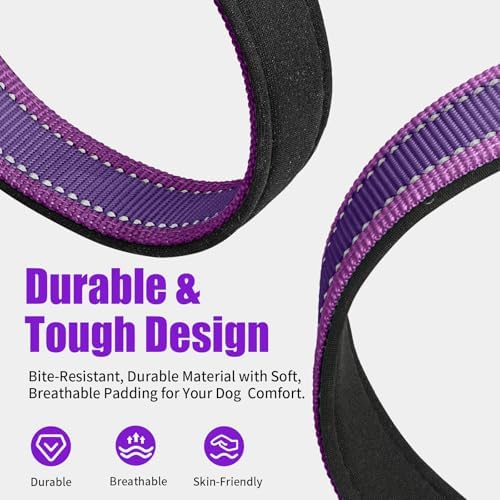 Kazazoo Small Dog Collar,Reflective Puppy Collar with Soft Padding Dog Collar No Pull,Lightweight, Nylon Collar for Puppies, Chihuahua, Yorkie & Teacup Dog 3-10 Lbs Purple-XS
