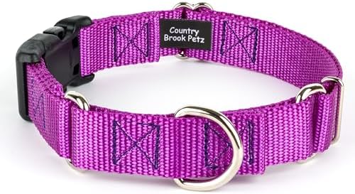 Martingale Dog Collar - Heavy Duty Nylon Adjustable Martingale Dog Collar with Plastic Buckle for Small Medium Large Breeds - 30+ Colors (5/8 Inch, Extra Small, Bright Purple)