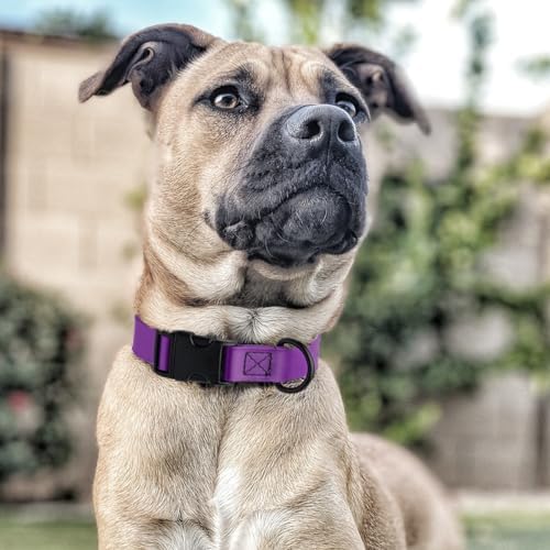 Dogline Biothane Waterproof Dog Collar with Quick Release Buckle Strong Coated Nylon Webbing with Odor- Proof for Easy Care Easy to Clean Fits Small Medium Large Dogs, Purple 1" W 15-23" L
