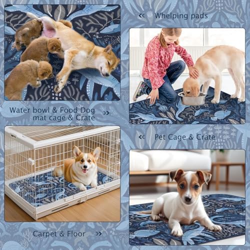BVAGSS Washable Pee Pads for Dogs, 2 Pack Reusable Leakproof Puppy Wee Wee Pad, Non-Slip Waterproof Pet Training Pads, Super Absorbent Whelping Pads XH081 (Dino Navy, 24X24 Inch (Pack of 2))