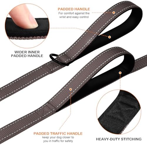 Joytale Dog Leash for Large Dogs that Pull, Double Handle, 6FT, Brown