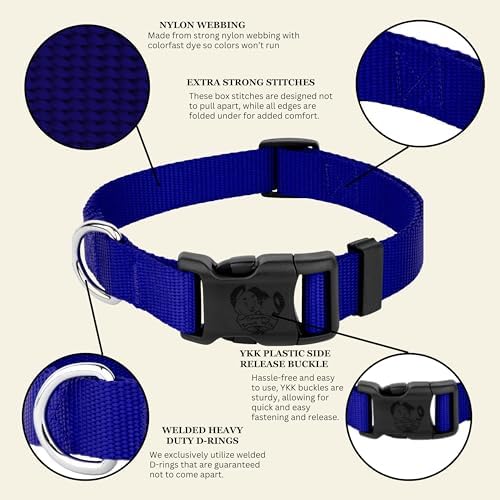 Country Brook Petz - Everyday Nylon Dog Collar for Large, Medium, and Small Dogs and Puppies - for Everyday Use in 30+ Colors (Extra Large, 1 Inch Wide, Bright Royal Blue)
