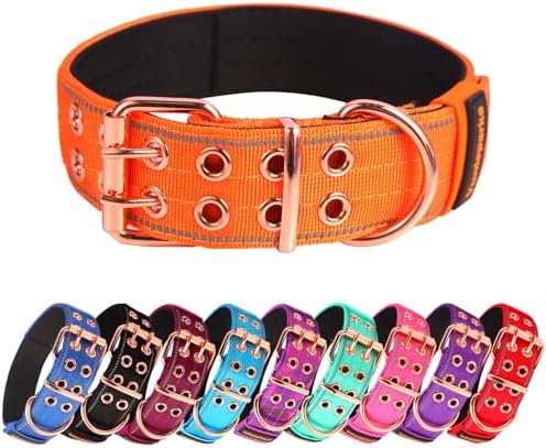Heavy Duty Dog Collar for Medium Large Dogs, Orange, Large