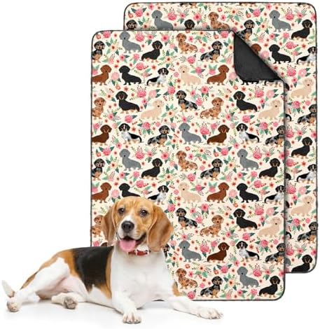 2PC Dachshund Pee Pads for Dog, Washable Absorbent Non-Slip Dog Mat 35x24in