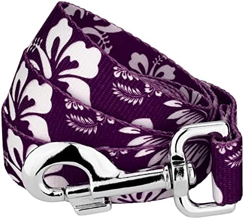 Country Brook Petz - Purple Hawaiian Everyday Dog Leash - Summer Breeze Collection Featuring Sunny Designs (6 Foot, 1/2 Inch Wide)