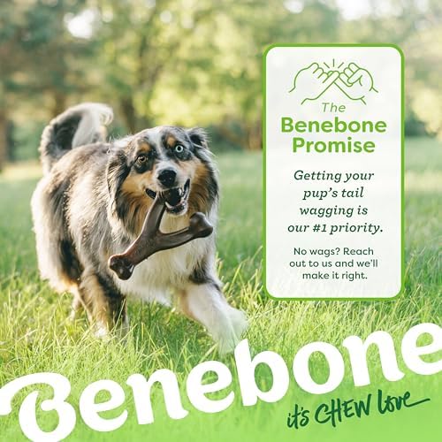 Benebone 2-Pack Wishbone/Dental Durable Dog Chew Toys, Real Bacon, Large