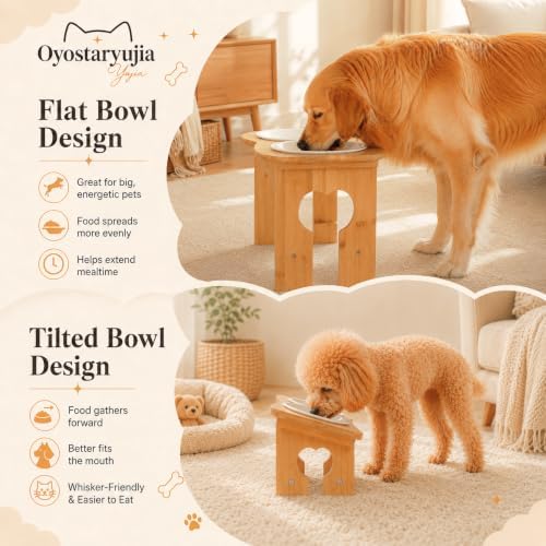Bone Elevated 6.1" Ceramic Small Dog Bowls, Tilted Dog Bowl Stand