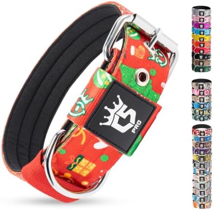 TSPRO Heavy Duty Thick Dog Collar with Metal Buckle for Large Dogs