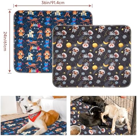 Paw Legend Washable Reusable Dog Pee Pads Super Absorbent (2 Pack) - Washable Reusable Puppy Training Pads | Quality Travel Pee Pads for Dogs | Absorbent and Odor Controlling