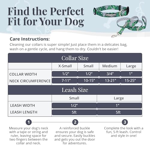 Lucky Love Dog Collar and Leash Set for Small Dogs – Blue Laguna, Small