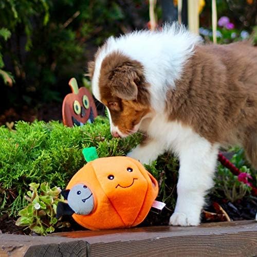 ZippyPaws Burrow- Interactive Dog & Puppy Toys for Boredom, Stimulating Pet Products to Keep them Busy, Hide & Seek Plush Dog Puzzle, Enrichment Squeaky Toy, For Small & Medium Dogs- Pumpkin with Bats
