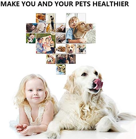 Puppycute 2 Pack Pet Toothbrush and Toothpaste for Dogs & Cats, Best Soft Silicone Pet Finger Toothbrush for Small Dogs Puppy Doggy, Dog Toothpaste Beef Flavor