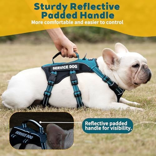 Huntboo Service Dog Vest Harness, Escape Proof Harness with 6 Patches, No-Pull, Reflective Harness with Handle, Adjustable for Small to Large Dogs, for Training and Hiking (Teal, M)
