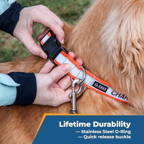 GoTags Reflective Personalized Dog Collar, Custom Embroidered Safety Collar