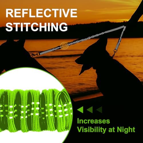 MingXpet 2 Dog Leash, Dog Leash for 2 Dogs, 360° Swivel No Tangle Double Walking Training Leashes for Large Dogs that Pull, Comfortable Shock Absorbing Reflective Bungee, Green