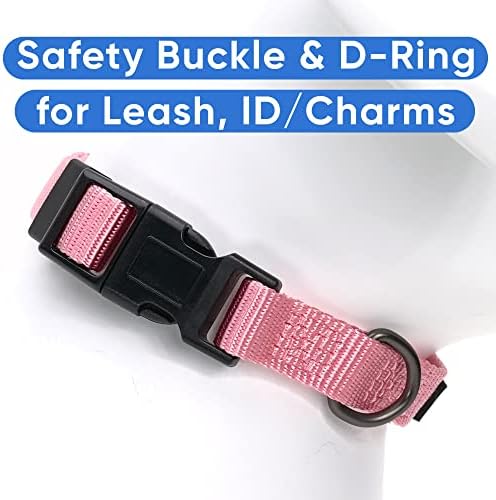 Pawtitas Solid Color Millennial Pink Puppy or Dog Collar, Small