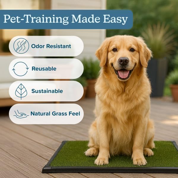 PETMAKER Artificial Grass Puppy Pee Pad for Dogs and Small Pets with Tray - 20x30 inches Washable 3-Layer Reusable Indoor Dog Potty Grass Training Pad, Easy Clean Pet Housebreaking Potty Solution
