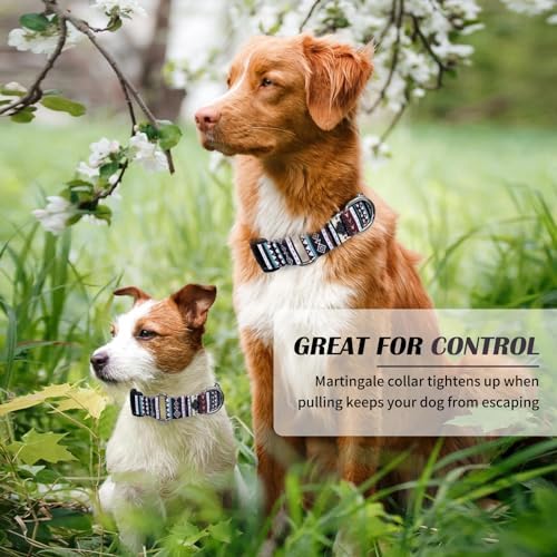 Hikiko Martingale Collar for Dogs with Special Pattern,Adjustable,M