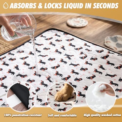 Washable Pee Pads for Dogs,2 Pack Reusable Puppy Training Pads-Funny Dachshund Print,Odor Resistant Super Absorbent,for Crate,Playpen,Floor,Whelping & Housebreaking