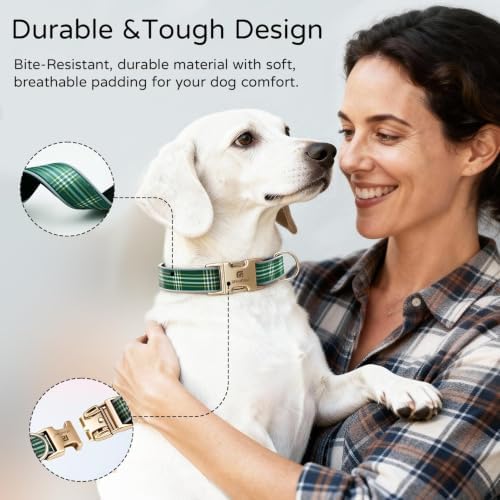 Reflective Plaid Dog Collar for Large Dogs, Green-L