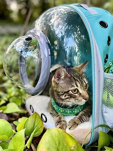 Pet Carrier Backpack for Kitten, Small Puppy and Bunny, Backpack for Kitten, Space Capsule Bubble Cat Backpack Carrier, Airline Approved Waterproof Green Pet Backpack for Small Dog (Pink)