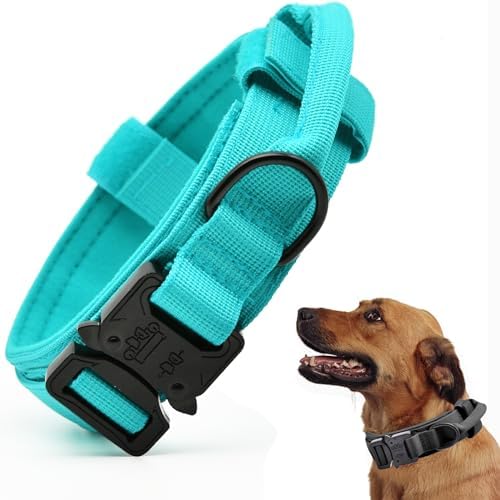 Tactical Dog Collar, Adjustable Military Training Nylon Pet Collar, Black M