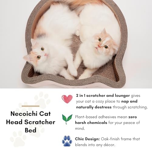 Necoichi Cat-Headed Scratcher Bed (Birch, Large) | Cardboard Cat Scratcher Bowls for Indoor Cats - Cat Scratching Board, Cat Scratch Pad Lounger with Reversible Usability and Extra Comfort for Lounge