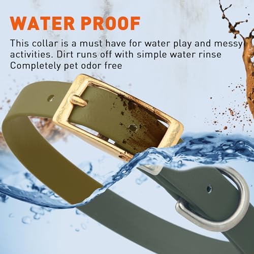 Viper Biothane Heavy Duty Waterproof Dog Collar Strong Coated Nylon Webbing w/Solid Brass Hardware Odor-Proof Easy to Clean High Performance Fits Small Medium or Large Dogs, Olive Drab Green