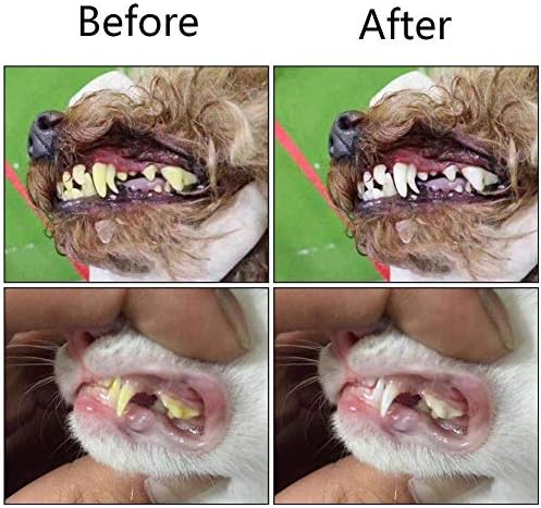 Orgrimmar 2 Pcs 3-Sided Pet Toothbrush Dog Cat Mouth Dental Teeth Care