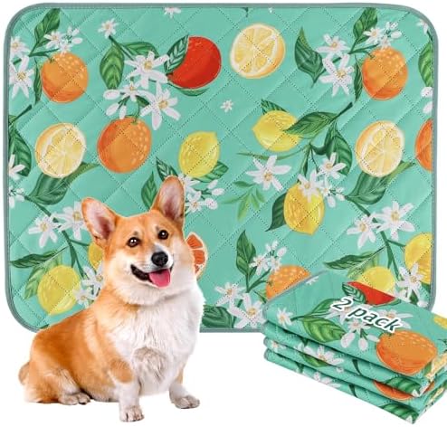 BVAGSS Washable Pee Pads for Dogs, 2 Pack Reusable Leakproof Puppy Wee Wee Pad, Non-Slip Waterproof Pet Training Pads, Super Absorbent Whelping Pads XH081 (Green Lemon, 36X36 Inch (Pack of 2))