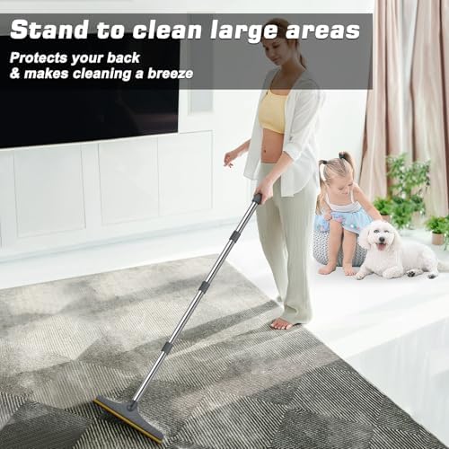 B-Land Carpet Rake for Pet Hair Removal, Reusable Carpet Scraper for Rug