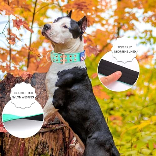 Heavy Duty Dog Collar for Medium Large Dogs,Teal,Medium