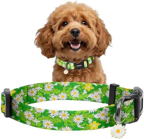 Kazazoo Dog Collar Cute and Soft Nylon Puppy Collar for Boy and Girl Dogs, Adjustable Dog Collars for Small Dogs, Green Daisy-S