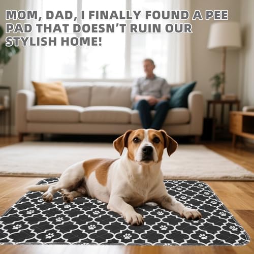 KOOLTAIL Washable Pee Pads for Dogs, 2 Packs Super Absorbent Leakproof & Non-Slip Dog Pee Pad Extra Large, Reusable Puppy Training Pads Waterproof, Pet Mat Rug for Whelping,Floor,Crate,Cats, 36"x41"