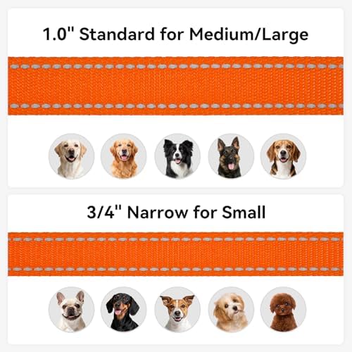 Joytale Reflective Dog Leash for Small Dogs, 5 FT x 3/4", Orange