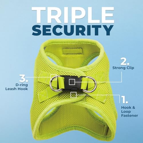 Best Pet Supplies Voyager Step-in Air All Weather Mesh Harness and Reflective Dog 5ft Leash Combo with Neoprene Handle, for Small, Medium and Large Breed Puppies - Lime Green, X-Large