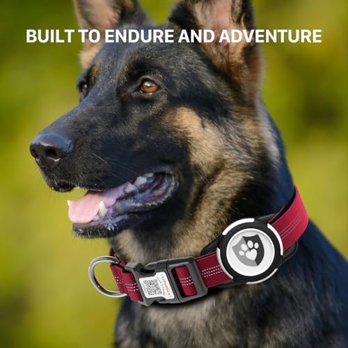 Waterproof AirTag Dog Collar with QR Code Dog Tag, Burgundy XS