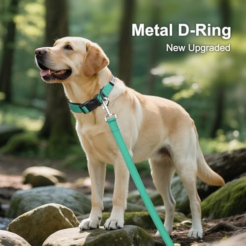 Joytale Personalized Dog Collar with Name Plate Built-in for XLarge Dogs