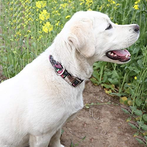 Customized Nylon Dog Collar, Personalized Dog Collar Engraved with Name and Phone Number,Adjustable ID Dog Collar with Quick-Release Buckle (M, Black)