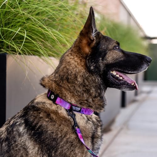 Wolfgang Heavy Duty, Adjustable Dog Collar with Quick Release Nylon Buckle for Walking & Training, Daydream Print, Small