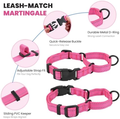 VIVAGLORY Double Handle Dog Leash Twingrip, 5ft x 1in, M2, Pink