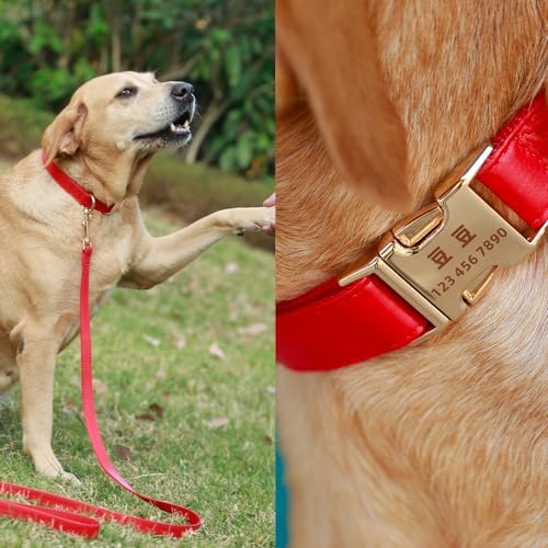 Microfiber Leather Nylon Personalized Dog Collars with Name