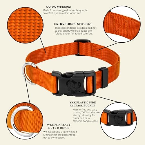 Country Brook Petz - Everyday Nylon Dog Collar for Large, Medium, and Small Dogs and Puppies - for Everyday Use in 30+ Colors (2XS, 3/8 Inch Wide, Orange)