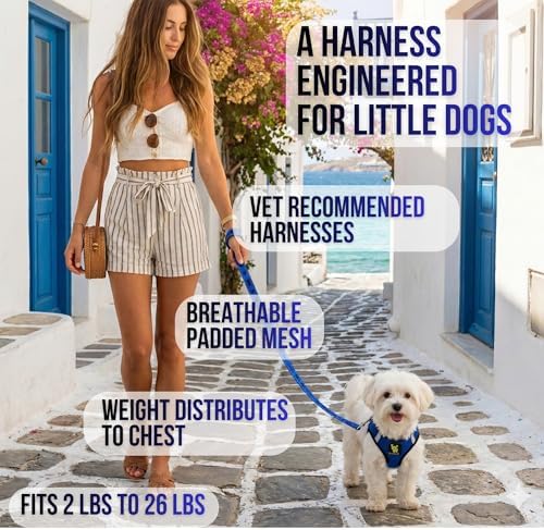 EcoBark Step in Dog Harness, Reflective Ultra Padded Mesh Pet Vest