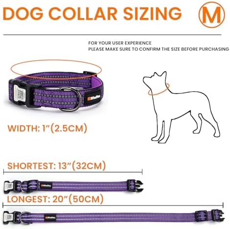 Personalized Dog Collar with QR Code Dog Tag, Purple M